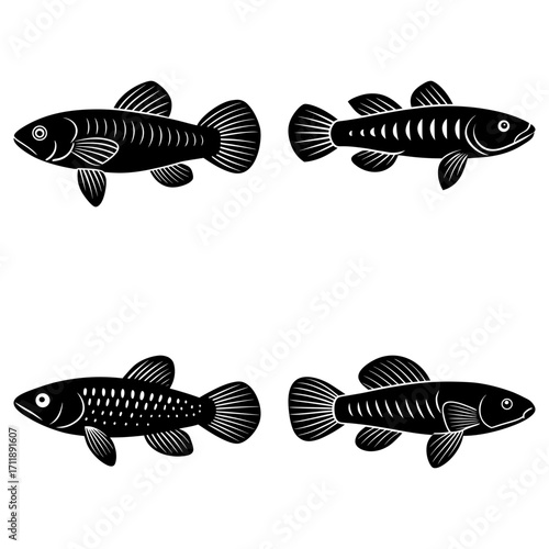 Illustration of four black fish with different patterns and fin shapes on a white background design art