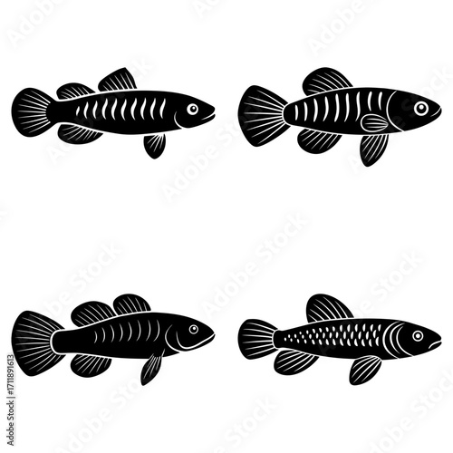 Illustration of four black fish silhouettes with different fin and body stripe patterns on white background