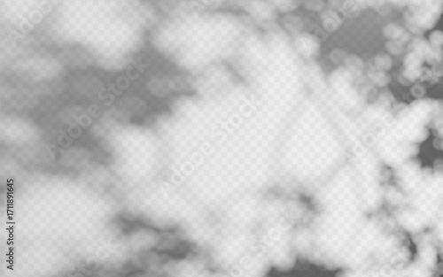 Abstract shadow overlay from foliage on a transparent background.