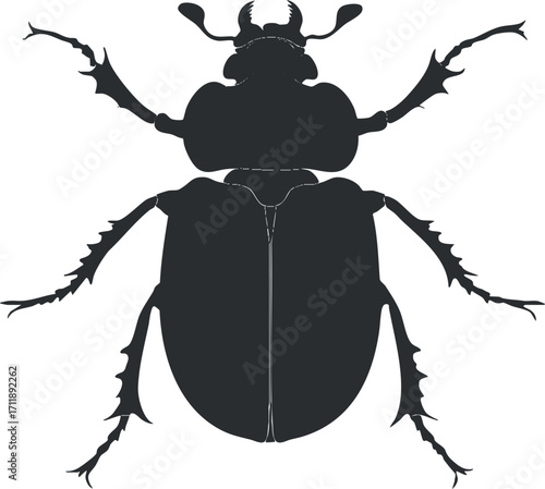 Black silhouette of a beetle showcasing its distinct features and structure for educational purposes.