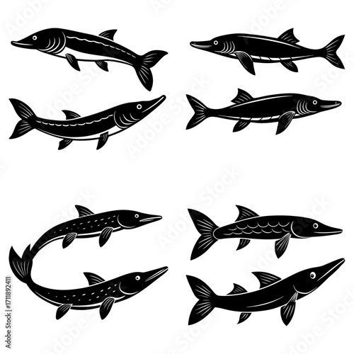 Collection of black and white stylized illustrations of various pike fish swimming in different directions