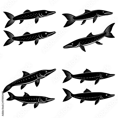 Collection of eight black silhouette illustrations of northern pike fish swimming in different directions