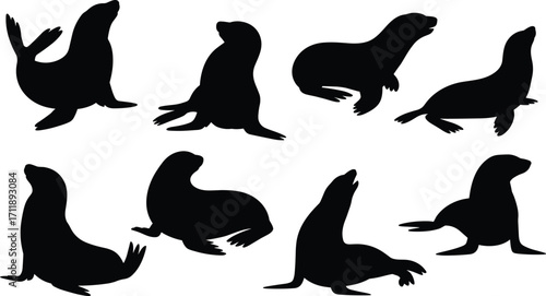 Set of black sea lion silhouettes, marine animal shapes, ocean wildlife icons, aquatic mammal illustrations, sea creature vector graphics, playful sea lion designs for logos