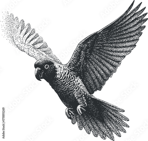 Illustration of a flying parrot, showcasing detailed feathers and dynamic wing movement.