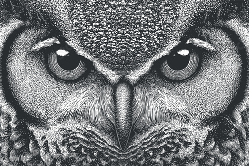 Detailed black and white illustration of an owl emphasizing its intense eyes and feathers