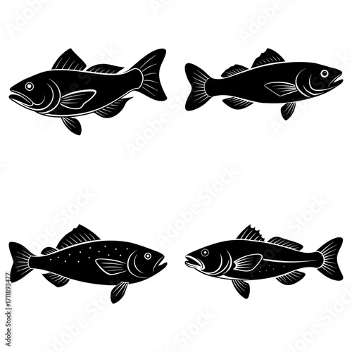 Four fish silhouettes in black and white showcasing different species and fin arrangements in a graphic design