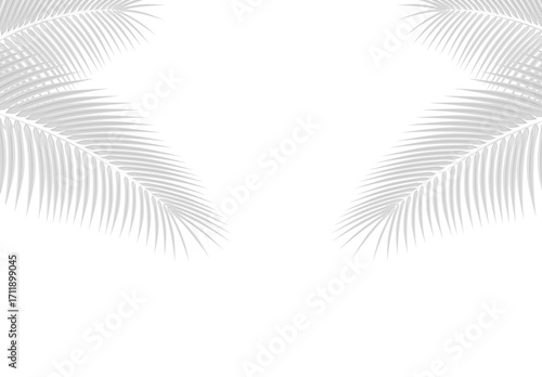 Minimal palm leaf border tropical botanical background design