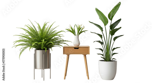 Three lush potted houseplants create a stylish modern indoor greenery display isolated on transparent background