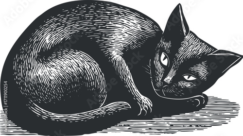 A vintage-style illustration of a curled black cat resting peacefully on the ground.