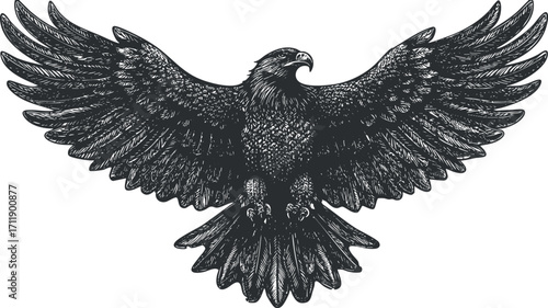 A detailed illustration of an eagle with outstretched wings showcasing its majestic presence.