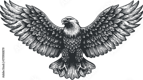 A detailed black and white illustration of a majestic eagle with outstretched wings.