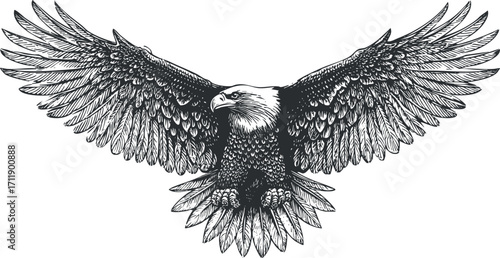 A detailed illustration of an eagle in flight showcasing its majestic wings and fierce expression.