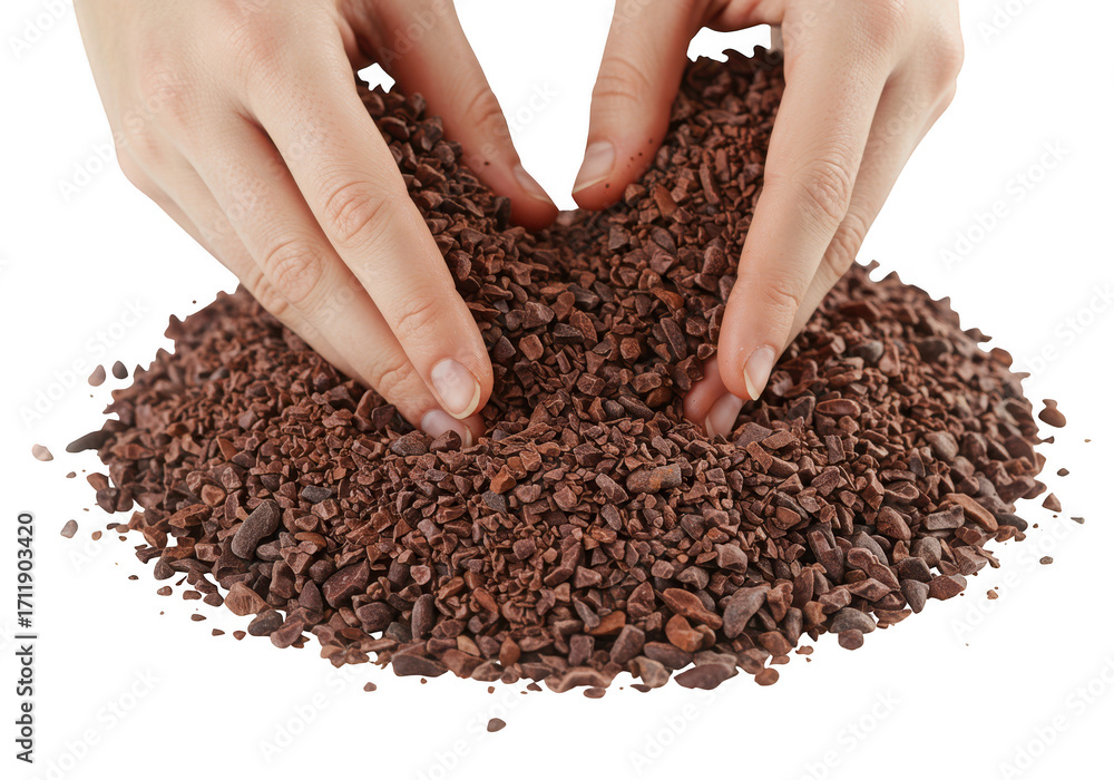 Fototapeta premium Hands sifting through a pile of roasted coffee beans on a dark surface isolated on transparent background