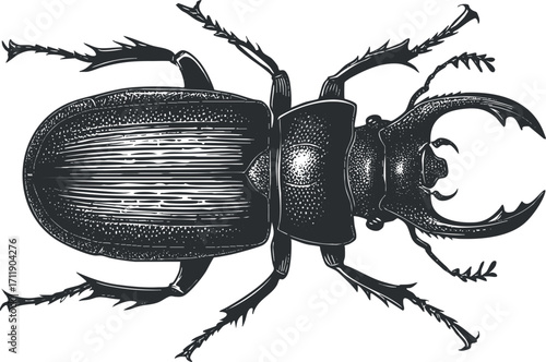 Detailed vintage illustration of a stag beetle with a focus on its distinctive features.