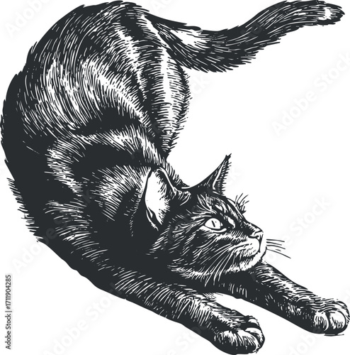A detailed illustration of a stretching black cat in a dynamic pose.