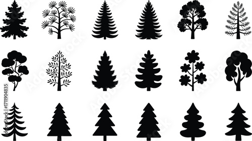 Collection of pine tree silhouettes, isolated forest icons, evergreen design, nature elements, outdoor landscape, botanical set, environment concept, woodland artwork
