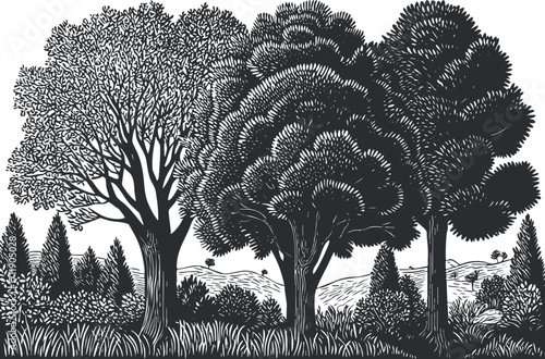 A detailed illustration of three distinct trees showcasing diverse foliage patterns in a serene landscape.