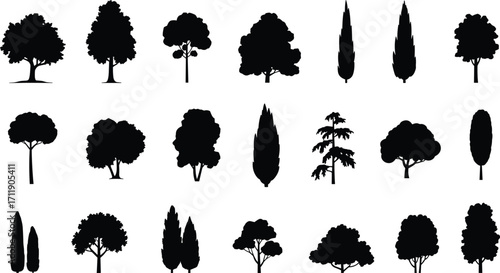Set of various tree silhouettes, isolated vector illustration, natural forest elements, landscape icons, environment concept, botanical collection, eco design artwork