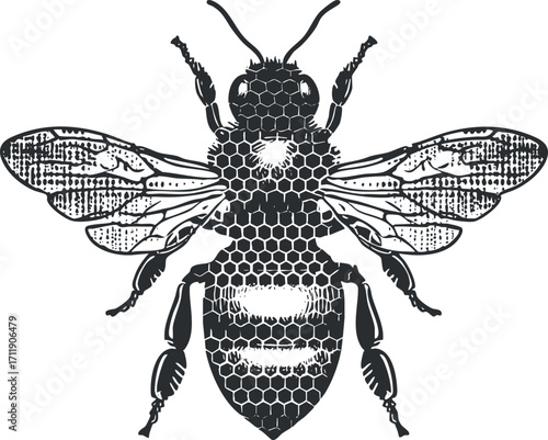 A detailed black silhouette illustration of a bee showcasing its wings and body structure.