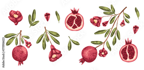 Set of pomegranate branch, fruit and flowers in hand drawn flat style with trendy noise texture