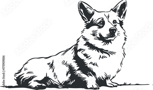 A stylized black and white illustration of a sitting corgi dog showcasing its playful demeanor.