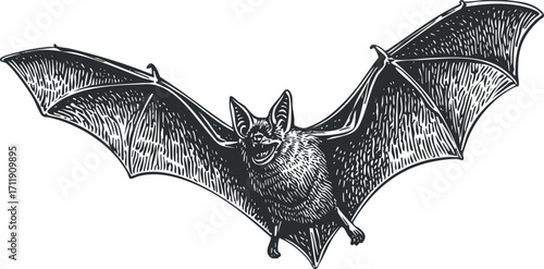 Detailed illustration of a bat in flight with outstretched wings in a dark style.