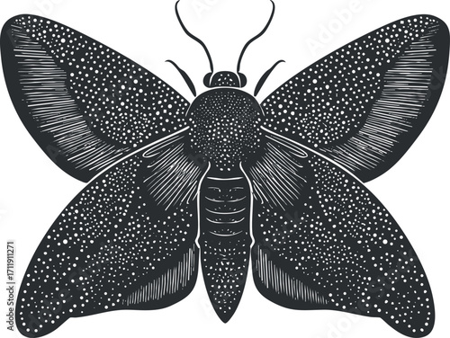 A detailed black and white illustration of a moth showcasing its intricate wing patterns.