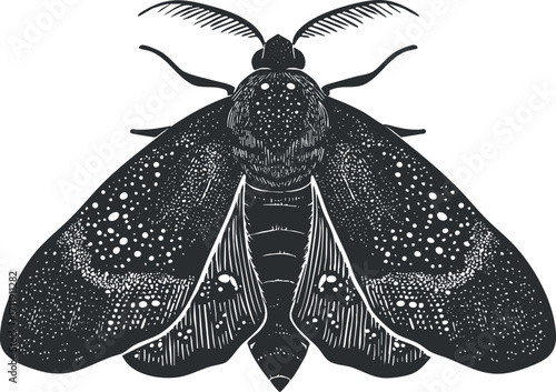 Detailed illustration of a moth showcasing its wings and intricate patterns in black and white.