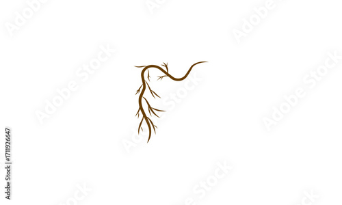 A delicate brown vine with small branches curves gracefully in the upper left corner against a white background.