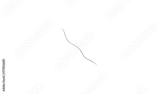 A single, thin, dark strand or hair on a white background.
