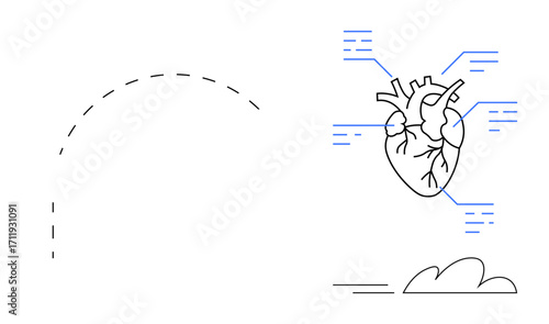 Human heart diagram with detailed labeled parts in a minimalist style. Ideal for education, healthcare, anatomy studies, biology illustrations, scientific research, health awareness campaigns, simple
