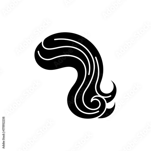 Stylized Black Hair Silhouette with Flowing Lines and Curled Ends.