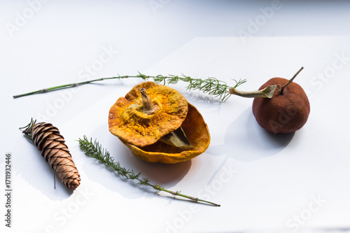 Dried pumpkin - container with a lid and a dried mandarin with a leaf, horsetail, and a spruce cone on a white background. Still life.