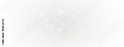 Sparkling Holiday Light