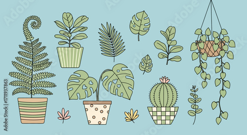 Collection of Potted Houseplants in Various Shapes and Sizes, Decorative Indoor Plants.