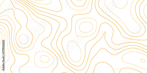 Topographic map background with geographic grid for hiking and mountain sport. luxury topographic wavy pattern and geographic grid map design. paper texture Imitation of a geographical map shade.