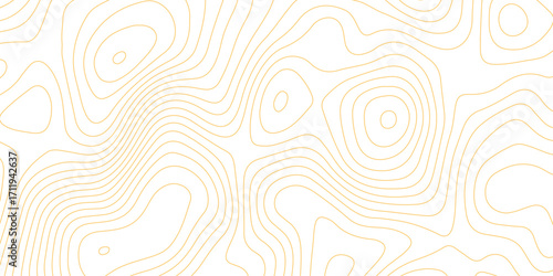 Topographic map background with geographic grid for hiking and mountain sport. luxury topographic wavy pattern and geographic grid map design. paper texture Imitation of a geographical map shades.
