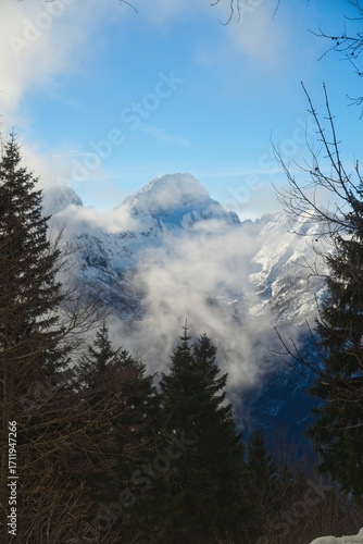 snow covered mountains