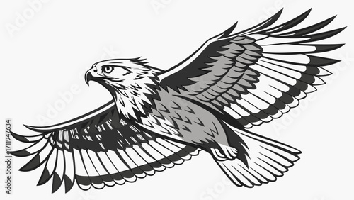 Bird of prey in flight grayscale illustration vector art wildlife avian wings feathers soaring predator majestic nature animal graphic design tattoo emblem logo symbol wildlife a.