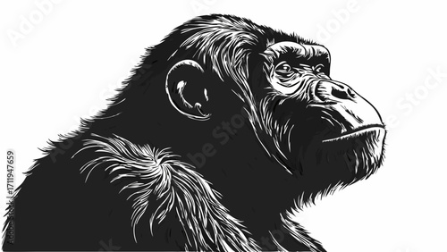 Black and White Illustration of a Primates Head Wildlife Animal Portrait Graphic Design Element.