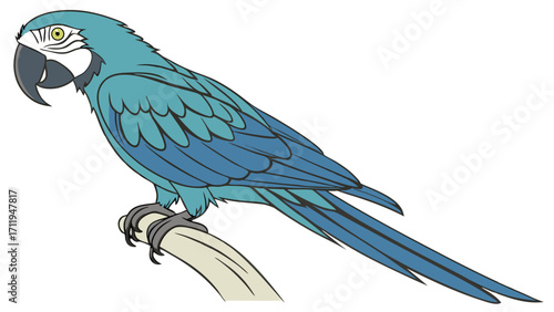 Blue Macaw Parrot Perched on Branch Tropical Bird Illustration Avian Wildlife Artwork.