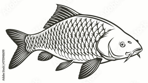 Detailed Line Art Illustration of a Freshwater Fish.