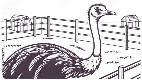 Ostrich in enclosure farm animal illustration black and white vector graphic wildlife zoo exotic bird feathered creature rural scene livestock agriculture poultry bird in a pen animal.