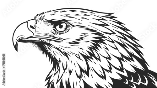 Stylized Eagle Head Bird of Prey Black and White Vector Illustration Wildlife Graphic Animal Portrait Monochrome Design Raptor Head Avian Art Sharp Feathers Intense Gaze Predator Profil.