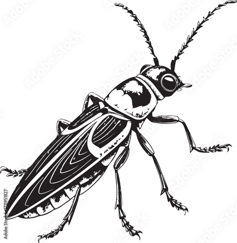 Sugarcane borer Insect, Farm Pest in Agriculture, Hand-drawn Engraving Black and White Vector Illustration, Sketch linear line Art, Isolated