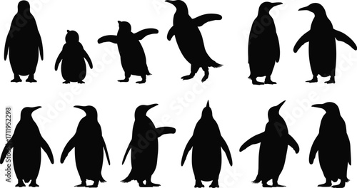 Silhouette penguin collection, different poses and sizes, isolated on white background, black shapes, wildlife animals, Antarctic birds, standing and walking, nature vector illustration.