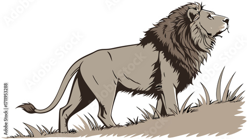 Majestic Male Lion in Profile Standing in Tall Grass.