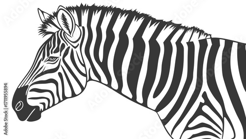 Stylized Zebra Head Black and White Animal Portrait Wildlife Illustration Graphic Design Element.