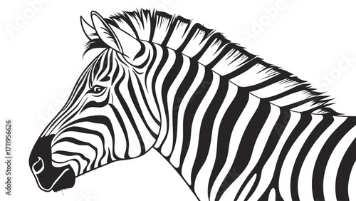 Zebra head black and white animal portrait wild animal equine stripes pattern monochrome illustration graphic design vector art wildlife nature zoology African animal mammal fauna.