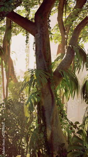 Schilderij op canvas A sizable tree covered in numerous green leaves, showcasing its lush and thriving foliage in a natural environment